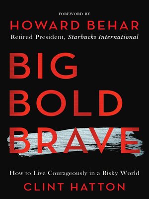 cover image of BIG BOLD BRAVE